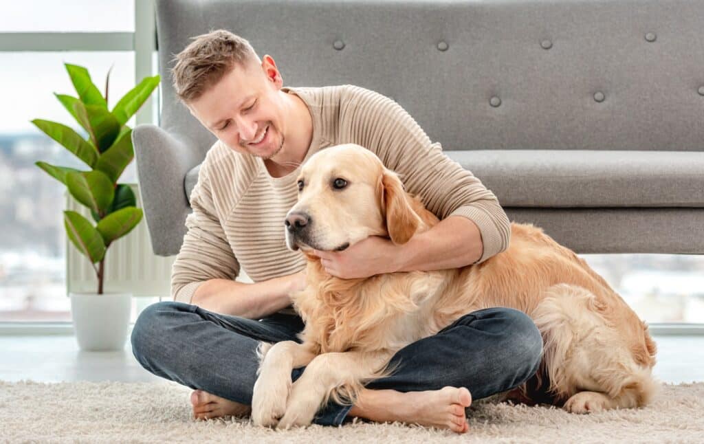 formation d’un chien guide d’aveugle