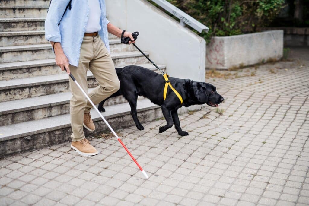 homme et chien guide d’aveugle